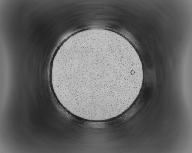 X0000086310856200704131630