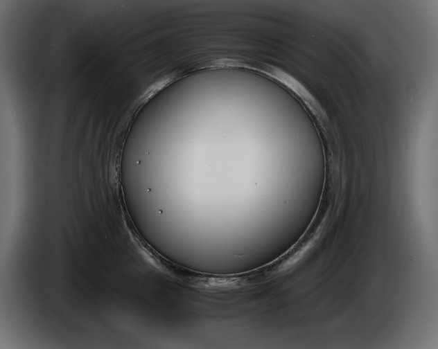 X0000086310857200704131630