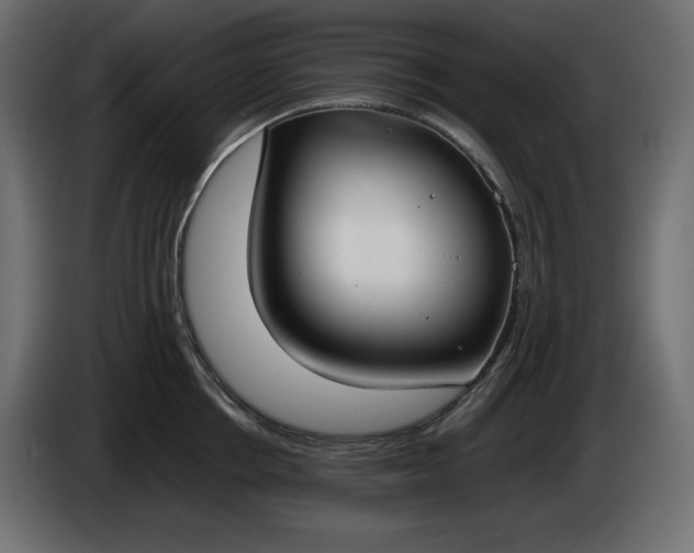 X0000086310858200704131630