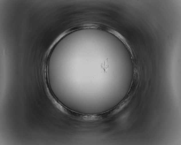 X0000086310859200704131630