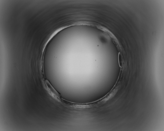 X0000086310860200704131630