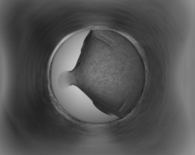 X0000086310864200704131630
