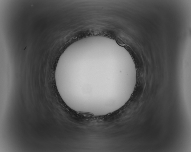 X0000086310865200704131629