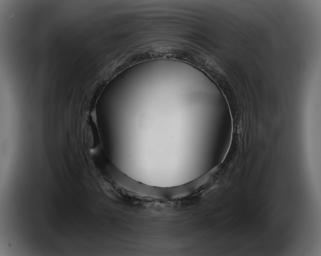 X0000086310868200704131629