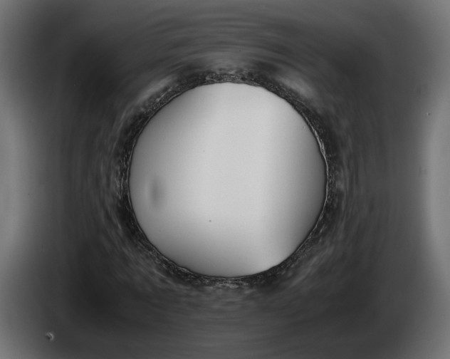 X0000086310869200704131629