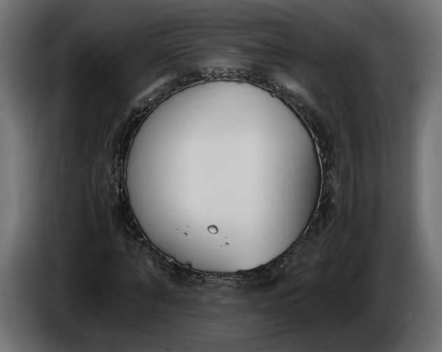 X0000086310870200704131629