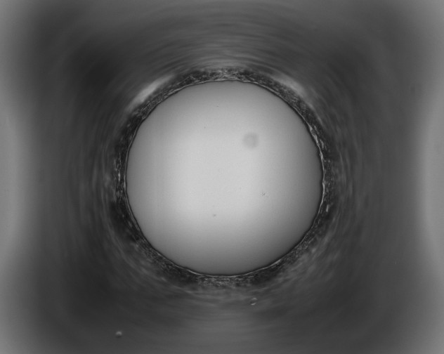 X0000086310871200704131629