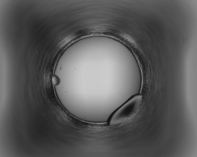 X0000086310873200704131629