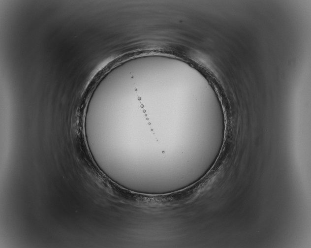 X0000086310875200704131629