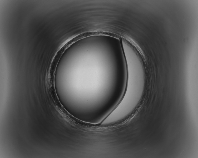 X0000086310876200704131629