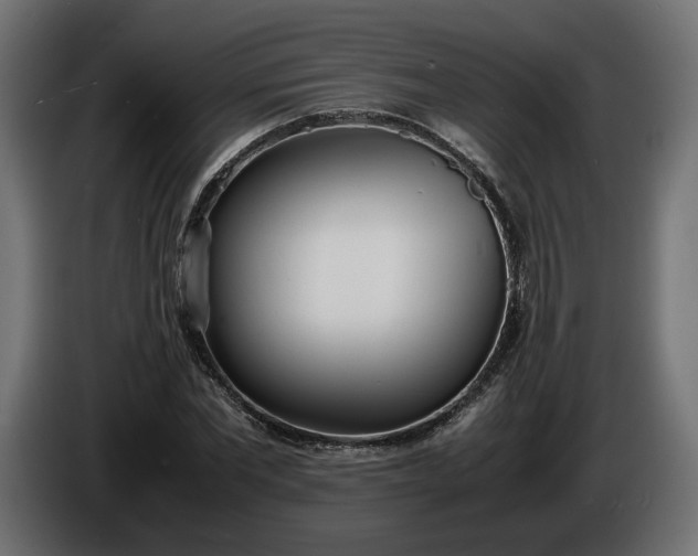 X0000086310877200704131629
