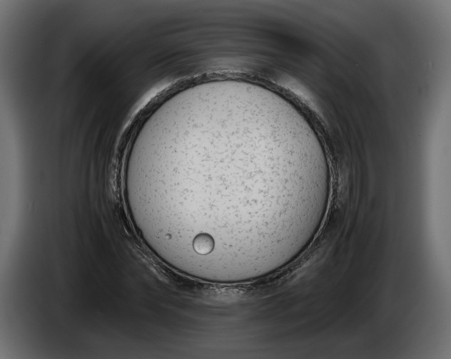 X0000086310878200704131629