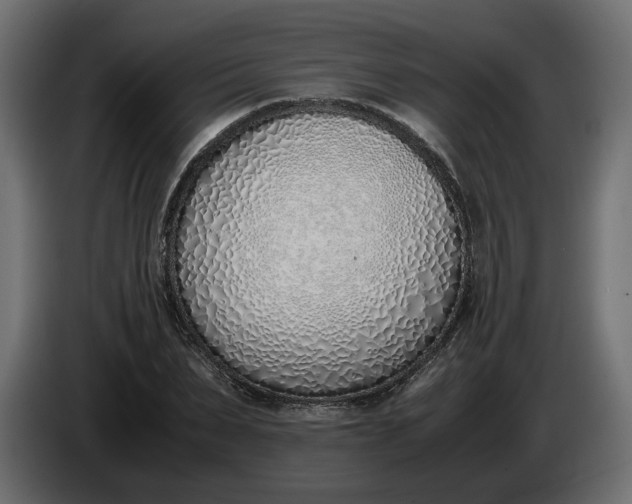 X0000086310879200704131629