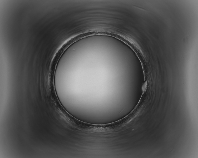 X0000086310880200704131629