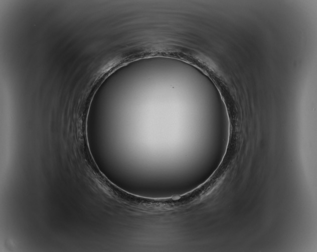 X0000086310881200704131629