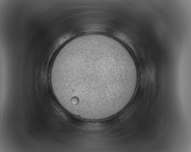 X0000086310882200704131629