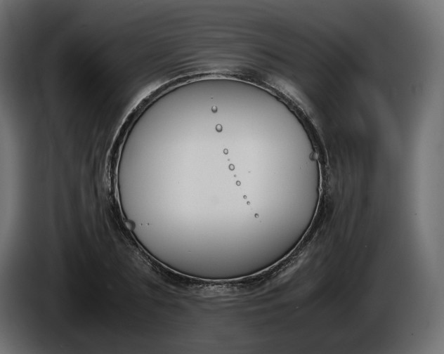 X0000086310883200704131629