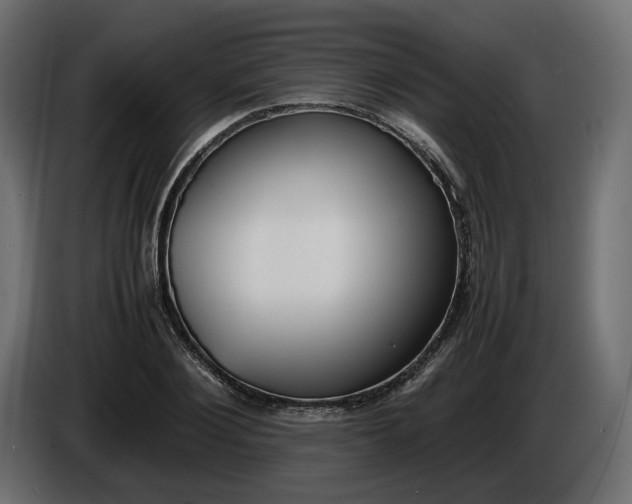 X0000086310884200704131629