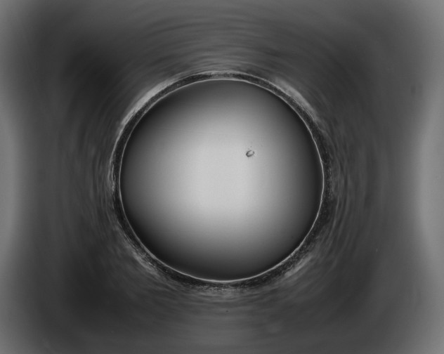 X0000086310885200704131629
