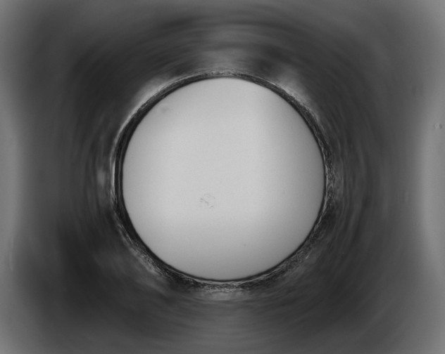 X0000086310886200704131629