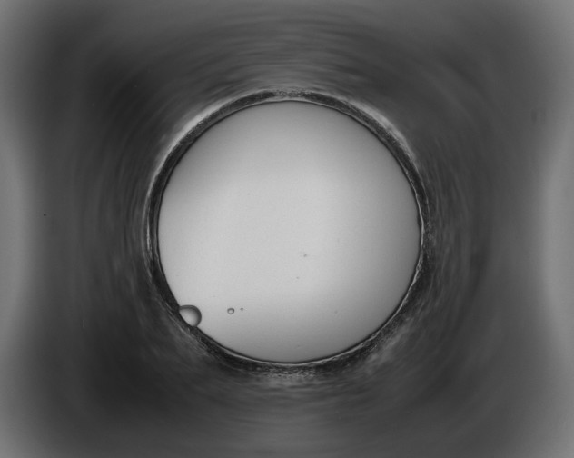 X0000086310887200704131629