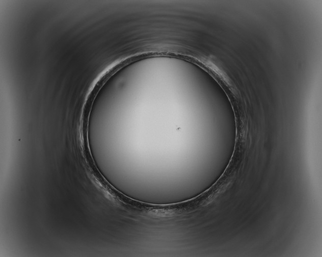 X0000086310888200704131629