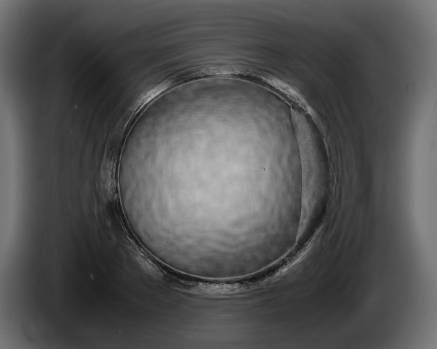 X0000086310889200704131629