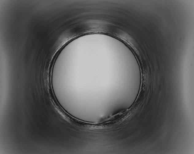 X0000086310890200704131629