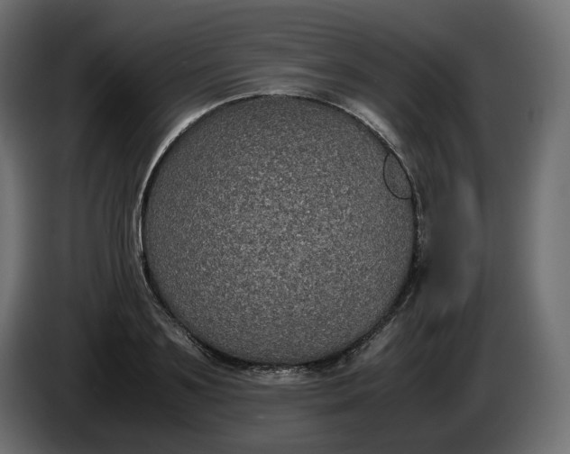 X0000086310891200704131629