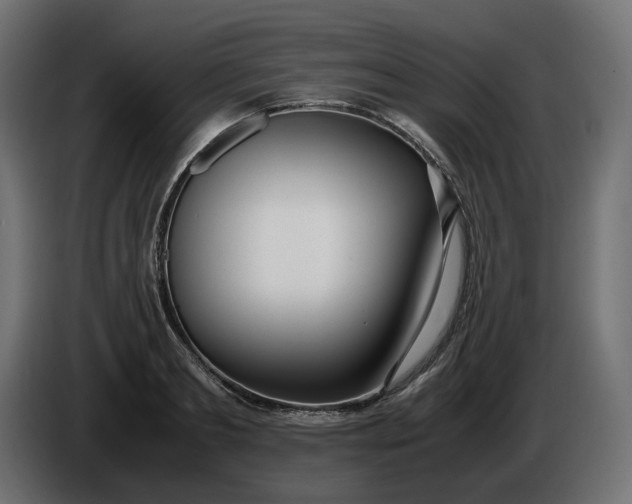 X0000086310893200704131629
