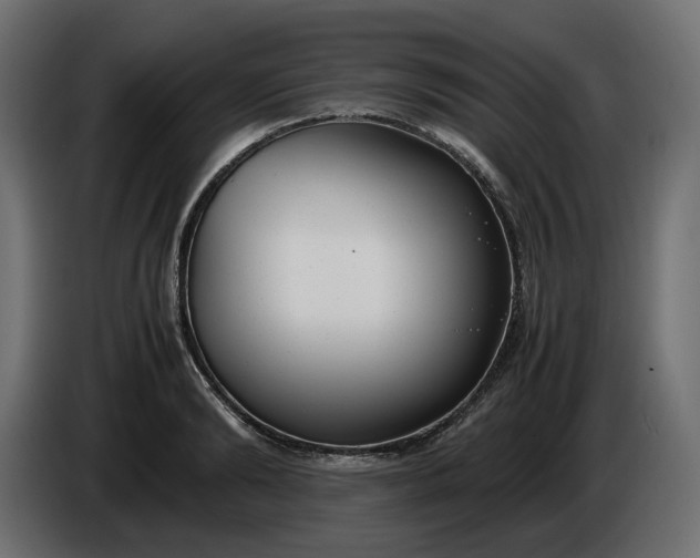 X0000086310894200704131629