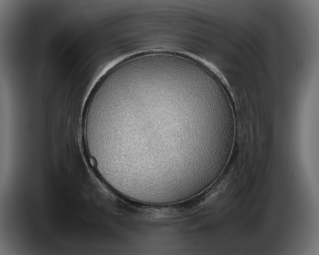 X0000086310895200704131629