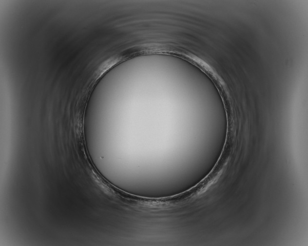 X0000086310897200704131629