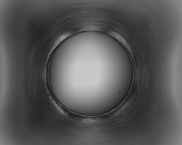 X0000086310898200704131629