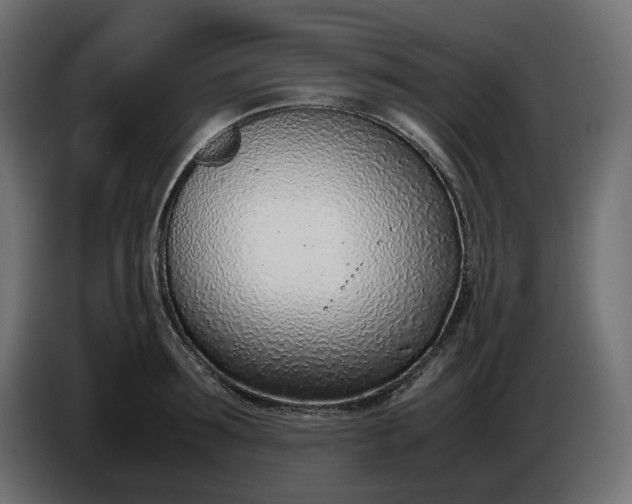 X0000086310899200704131629