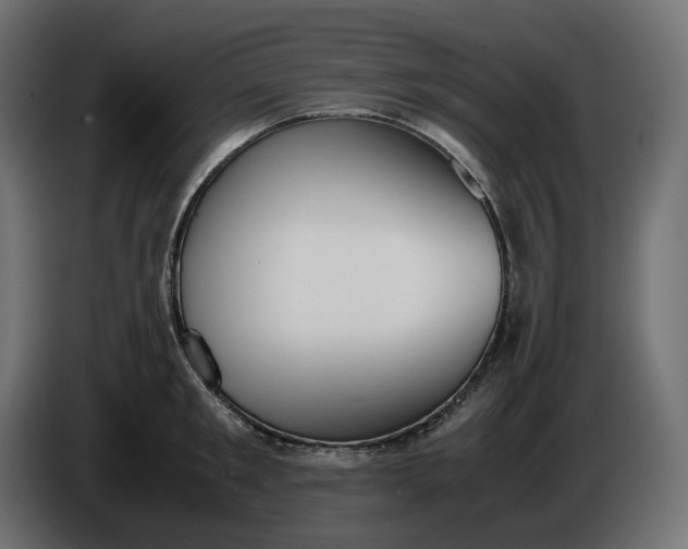 X0000086310901200704131629