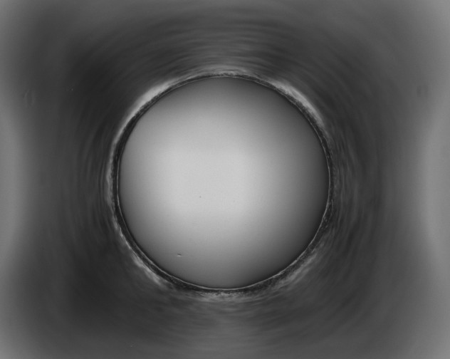 X0000086310902200704131629