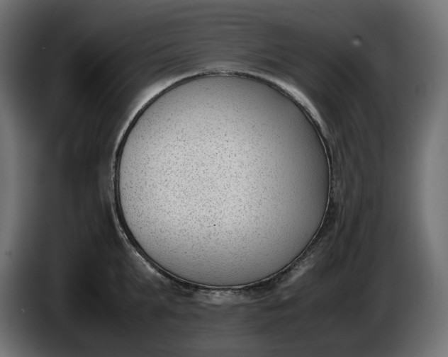 X0000086310903200704131629