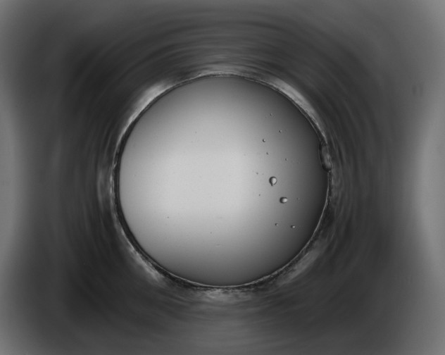 X0000086310906200704131629