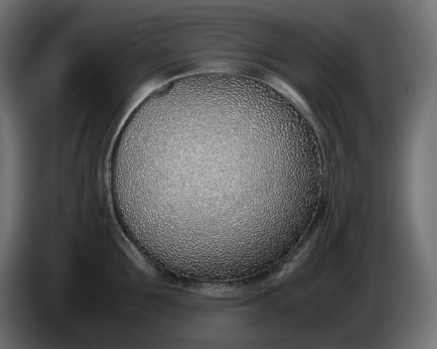 X0000086310907200704131628