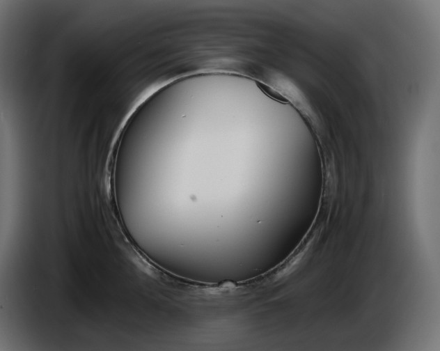 X0000086310908200704131628
