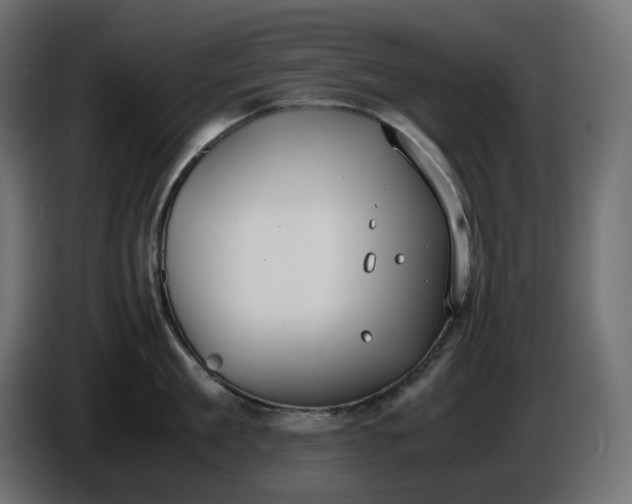 X0000086310909200704131628