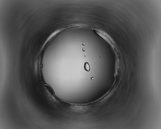 X0000086310910200704131628