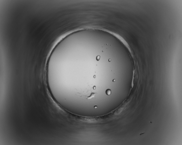 X0000086310911200704131628