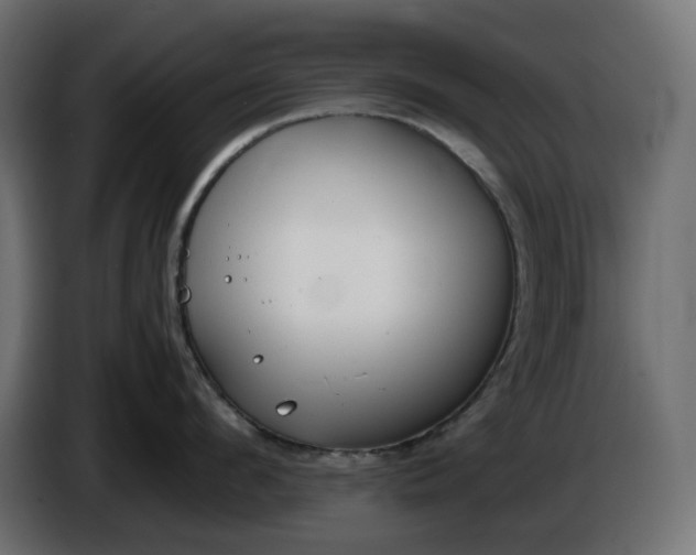 X0000086310912200704131628
