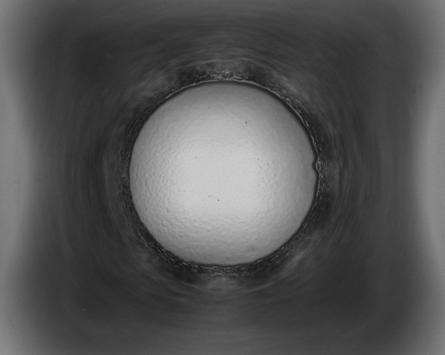 X0000086310913200704131628