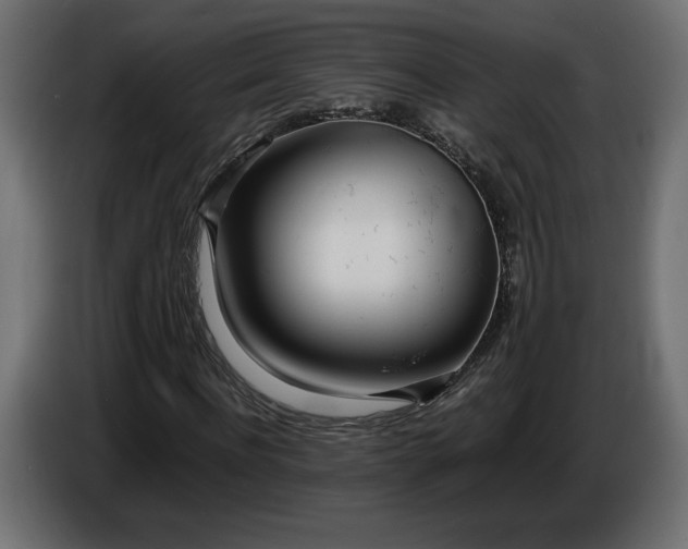 X0000086310916200704131628