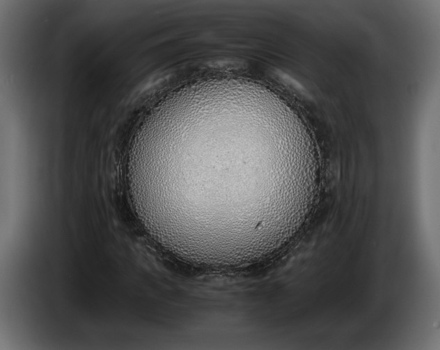 X0000086310917200704131628