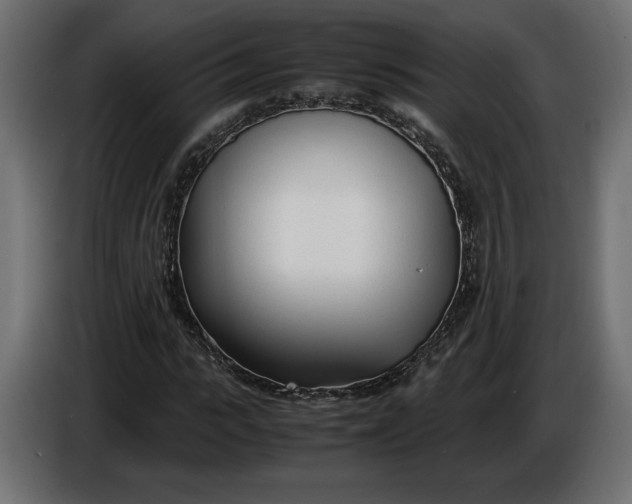 X0000086310919200704131628