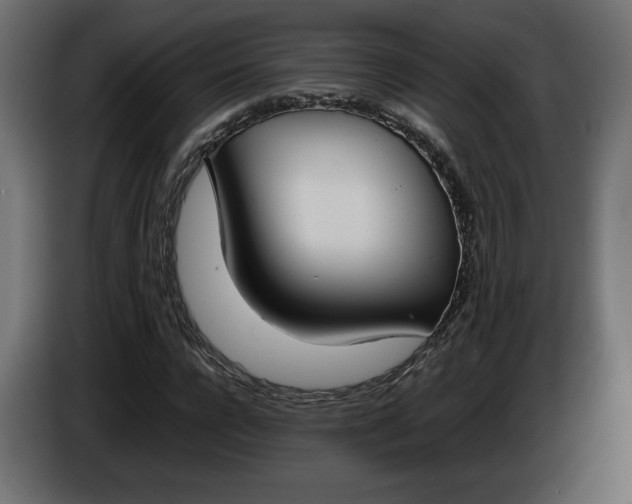 X0000086310920200704131628